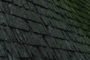hail-damaged asphalt shingles showing granule loss and circular impact marks - hail damage roof