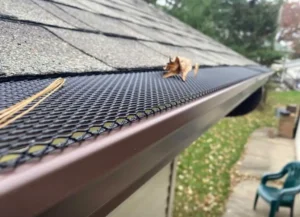 leaf guard gutter systems on a home with overflowing leaf-filled gutters
